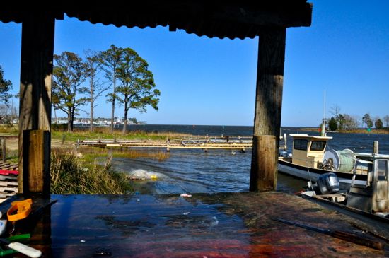 pelican endurance seafood