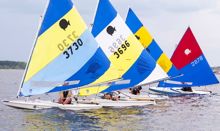 sunfish sailing