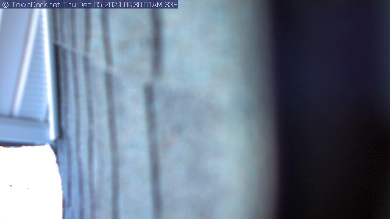 Pecan Cam