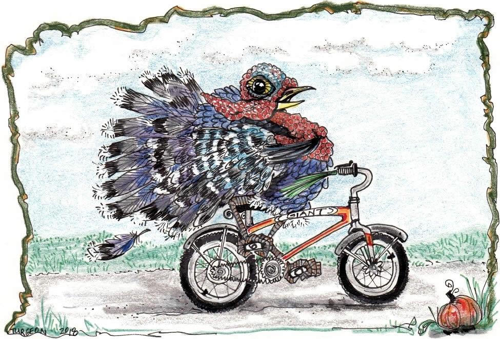 turkey on a bicycle