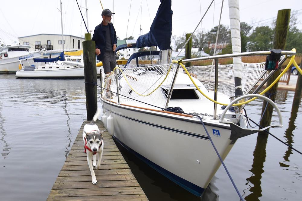 a dog walks down a finger pier away from a boat while a man stands on the boat deck