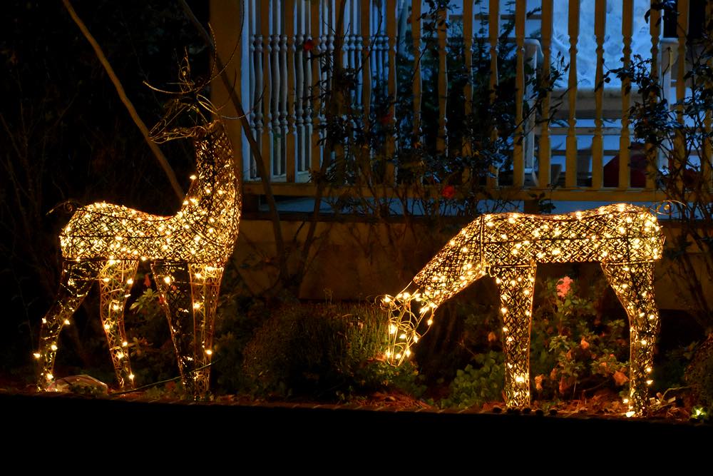 two deer lit with white lights