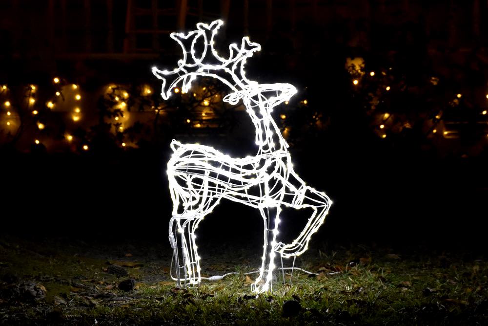 a single reindeer lit by white lights stands in the yard.